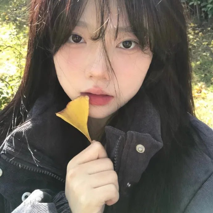 影迷片单