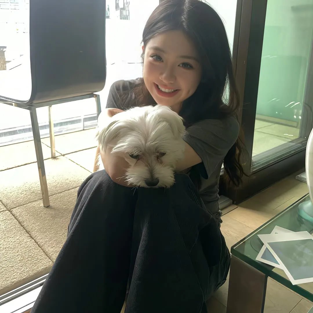 美声歌鸡